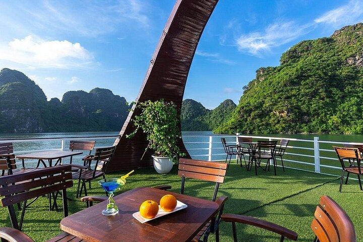 Hidden Paradise of Bai Tu Long Bay Day Cruise and Kayak Adventure
