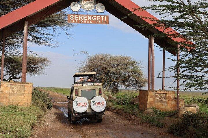 4-Days Group Camping Tour to Tarangire Serengeti Ngorongoro
