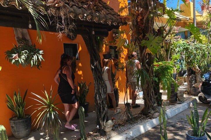 Discovering San Pancho Gastronomy and Cultural Tour