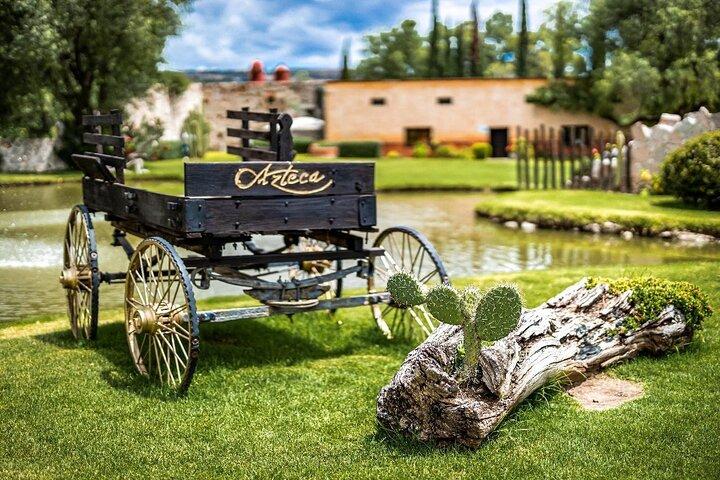 The Magical Town of Tepotzotlán & Artisanal wine from Mexico City