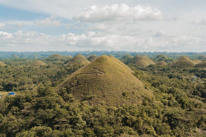 Bohol Day Tour: Chocolate Hills, Tarsiers & Loboc River Buffet