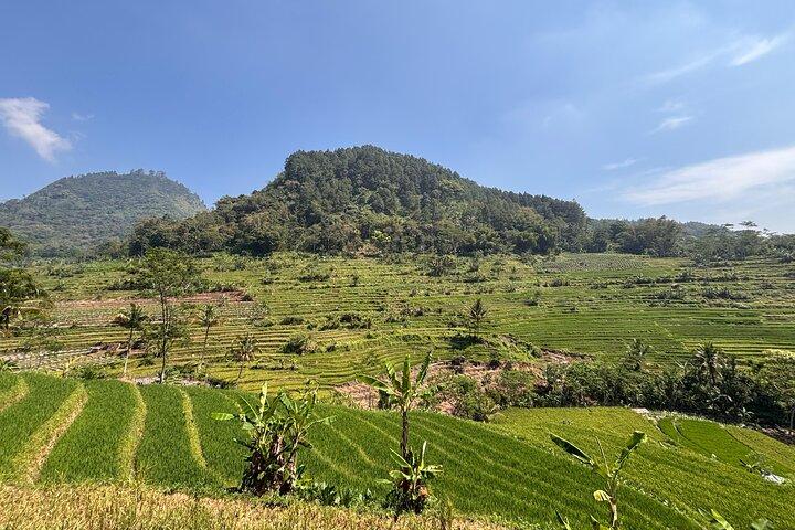 Borobudur Climb Up and Selogriyo Rice Terrace Guided Day Tour