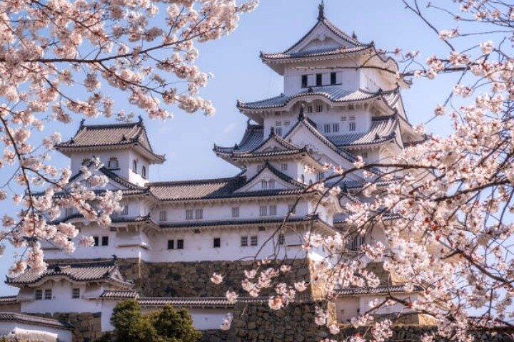 Private Full Day Himeji and Kobe Day Tour