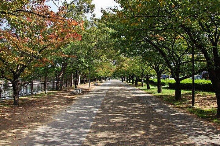 Private Full Day Himeji and Kobe Day Tour