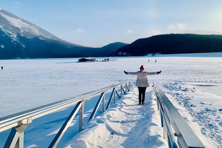 Best of Banff: Signature Express Tour (2.5 hours)