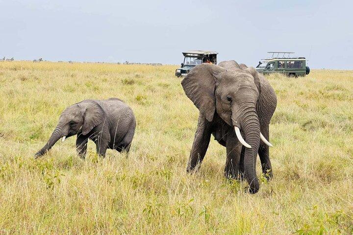 2 Days 1 Night Amboseli Safari