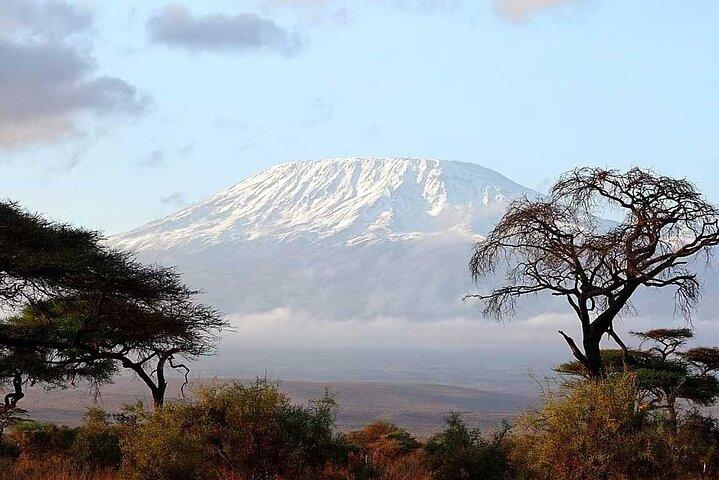 2 Days 1 Night Amboseli Safari