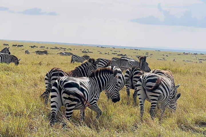 2 Days 1 Night Amboseli Safari