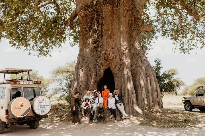 7 Days Tanzania Safari Tarangire, Serengeti and Ngorongoro
