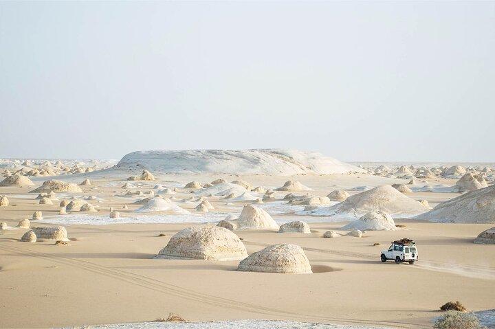 Bahariya Oasis Visit Black And White Desert From Cairo