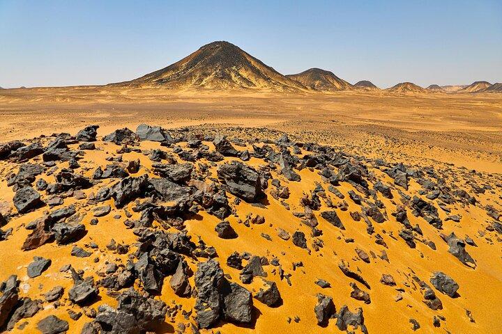 Bahariya Oasis Visit Black And White Desert From Cairo
