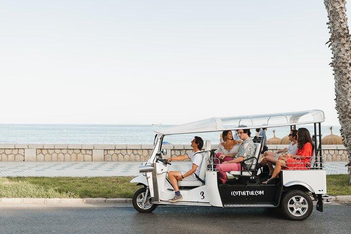 Tour Welcome to Malaga in Eco Tuk Tuk Private with Local Guide