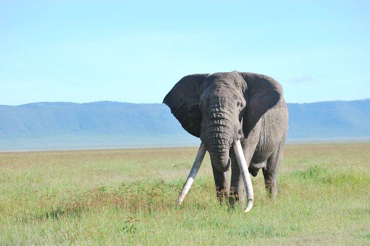 7-Day Camping Safari in Tanzania's Iconic National Parks