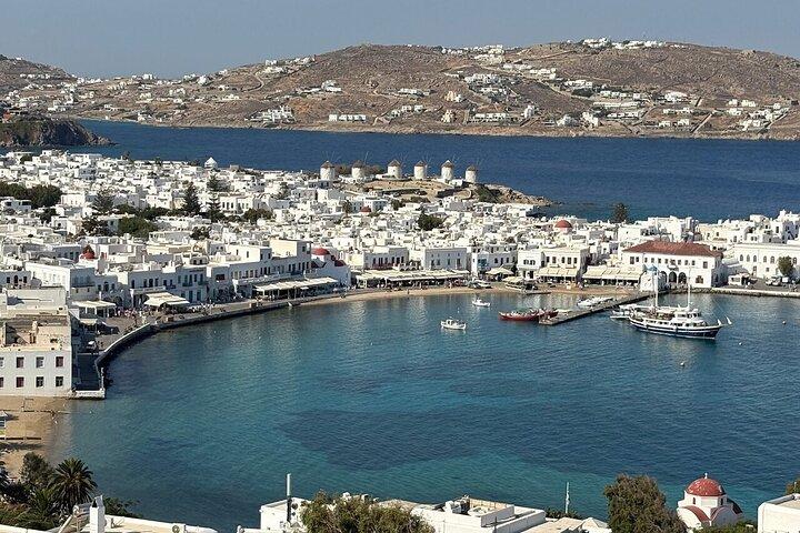 Mykonos Private Highlights Tour See It All