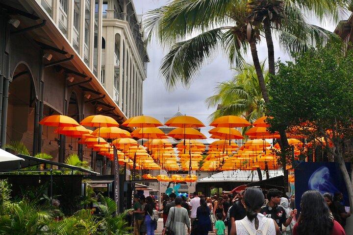 Port Louis: Street Food & City Highlights Walking Tour