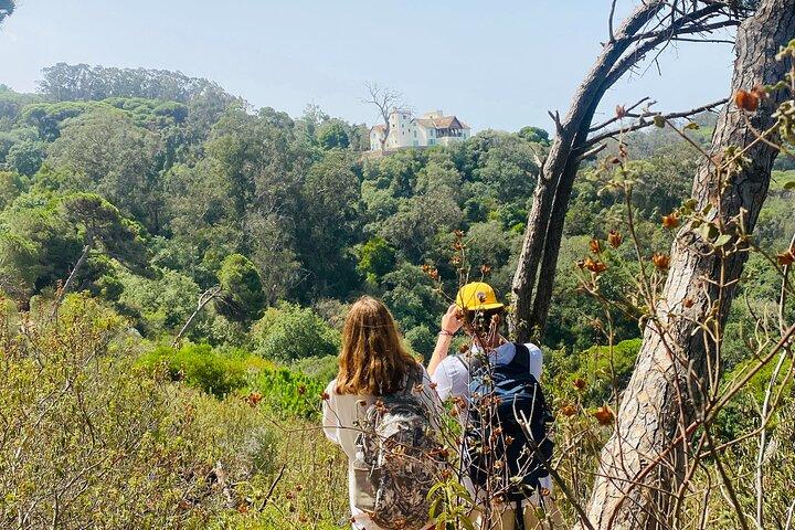 Tangier Coastal Hiking Adventure