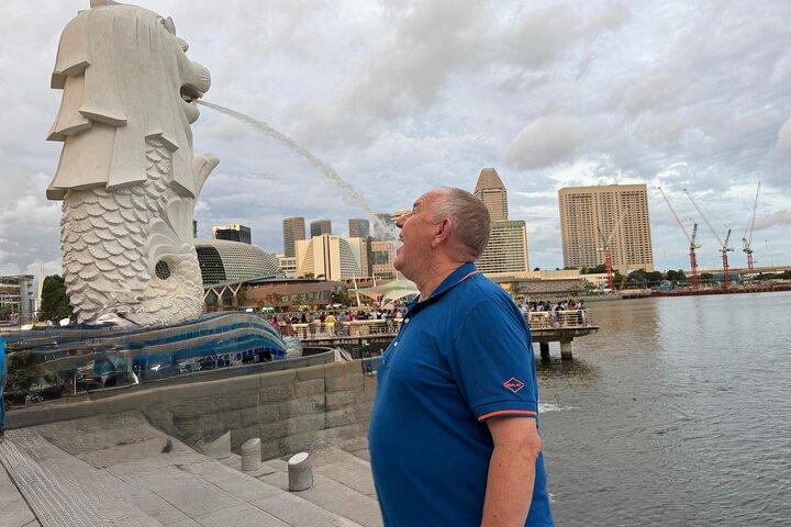 8-hr guided tour : Food Tour, 40-min River cruise & 2 light Shows