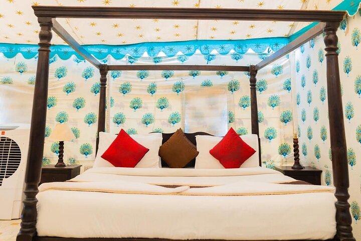 Luxury Camping in the Desert