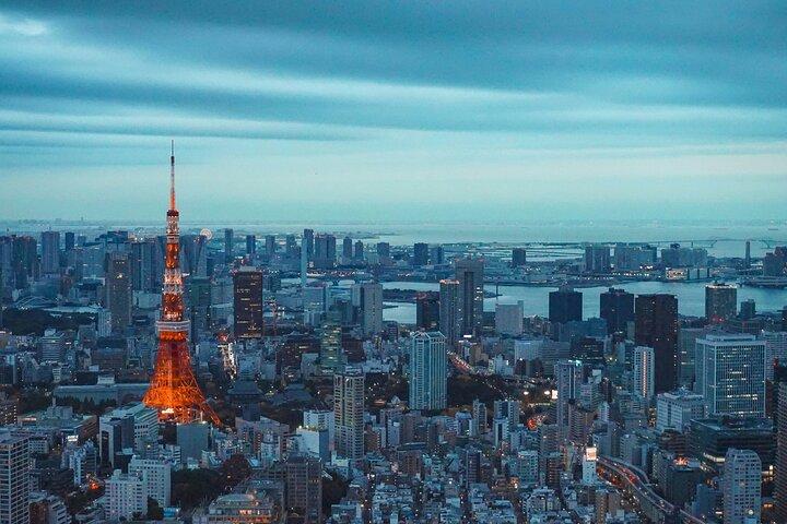 Tokyo Private Tour: teamLab Borderless & Tokyo City View