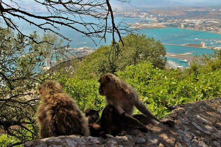Gibraltar and Mijas Tour from Málaga full assistance