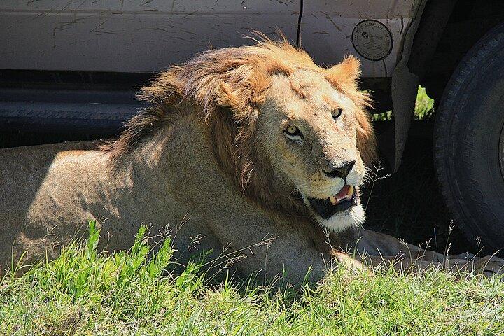 3 Days Tarangire Ngorongoro Crater and Manyara