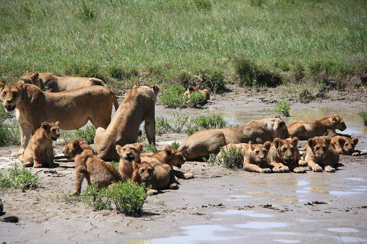3 Days Tarangire Ngorongoro Crater and Manyara
