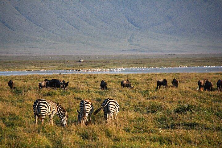 3 Days Tarangire Ngorongoro Crater and Manyara