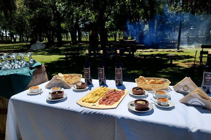 Authentic Farm Day in an Argentine Countryside Estancia
