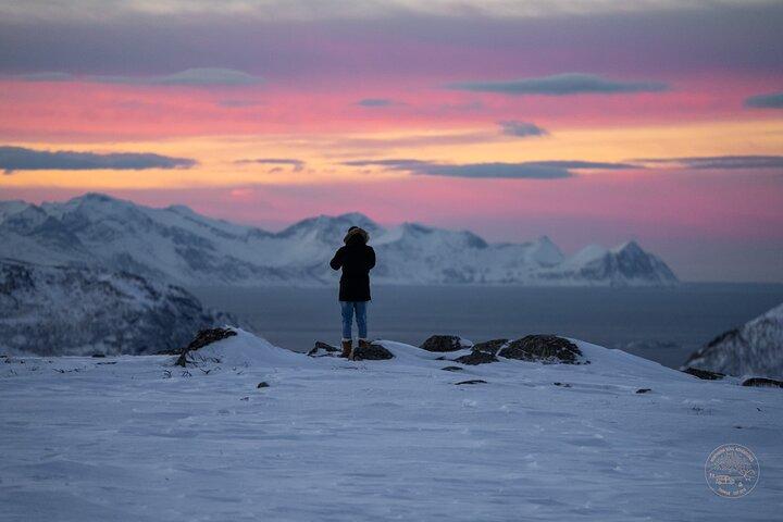 Arctic Fjord Roadtrip with Scenic Picnic from Tromso