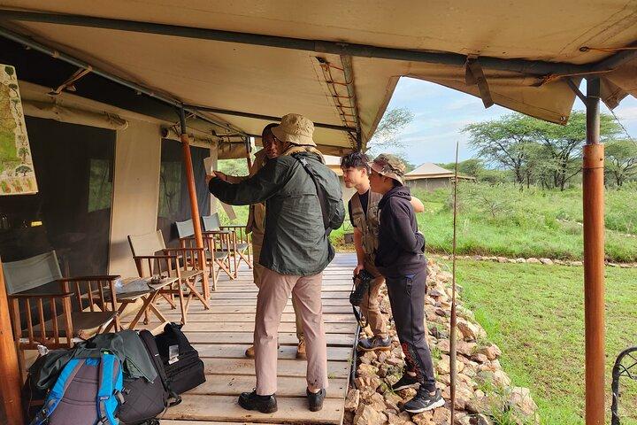 8 Days Best of Tanzania Safari through Materuni waterfalls