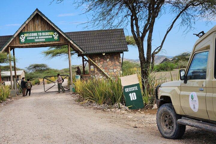 8 Days Best of Tanzania Safari through Materuni waterfalls