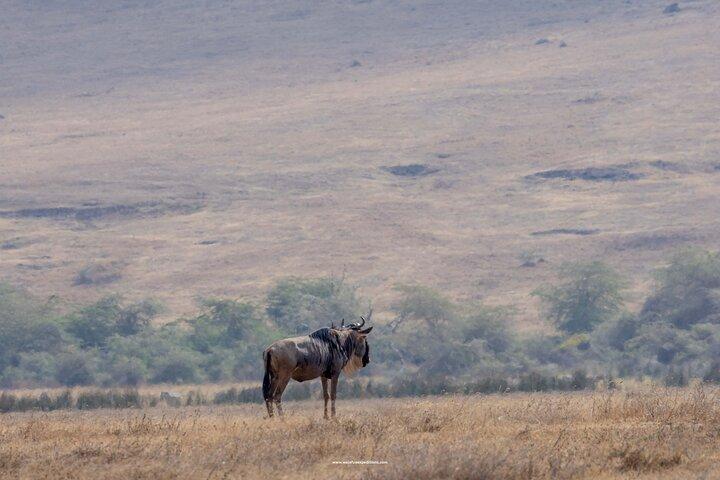 Experience 5 Day Joining Safari to the Northern Wonders