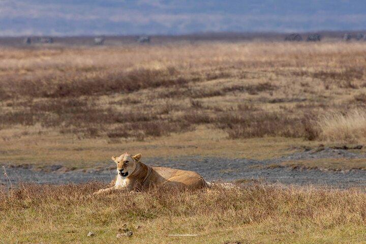 Experience 5 Day Joining Safari to the Northern Wonders