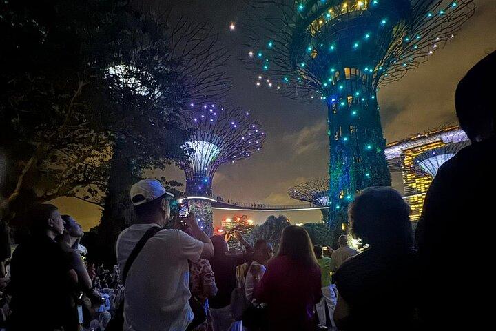 Singapore River Cruise, Night Garden Rhapsody and Spectra Tour