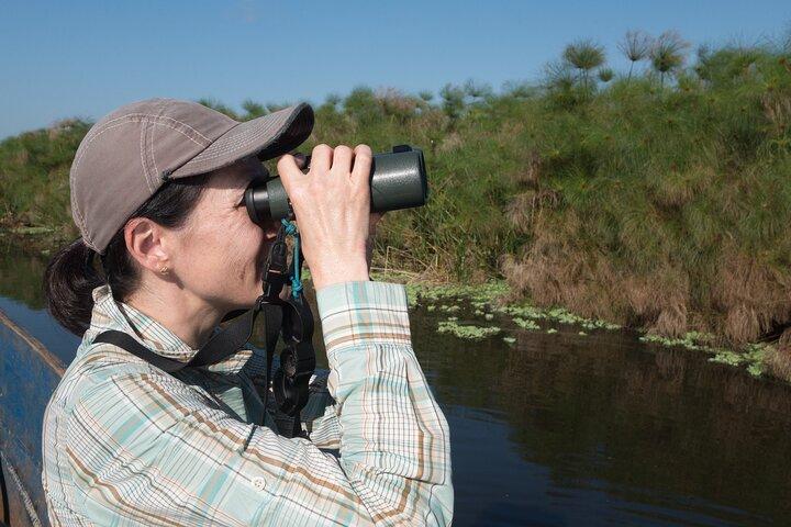 Mabamba Shoebill Private Tour with Homemade Cake