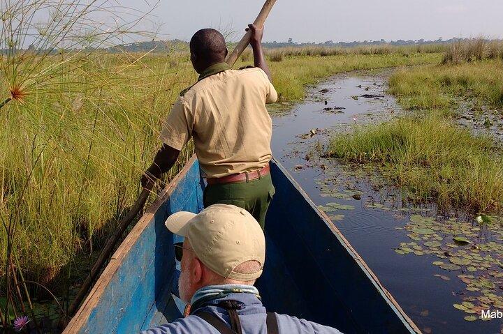 Mabamba Shoebill Private Tour with Homemade Cake