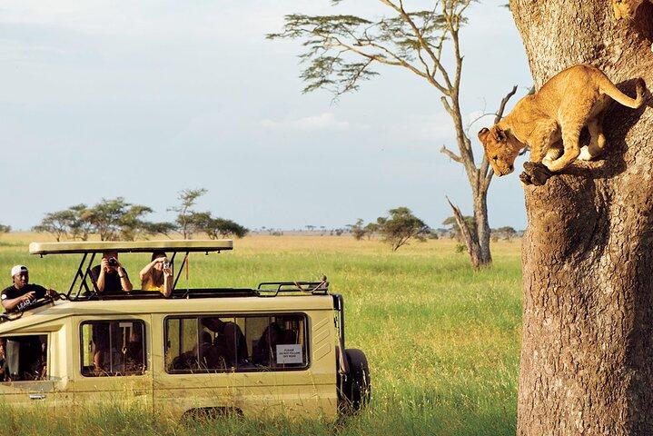 3-Day Serengeti and Ngorongoro Crater Safari Adventure