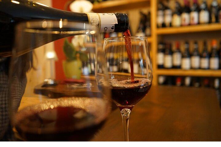 Boutique Wine Tasting in Turin City Center