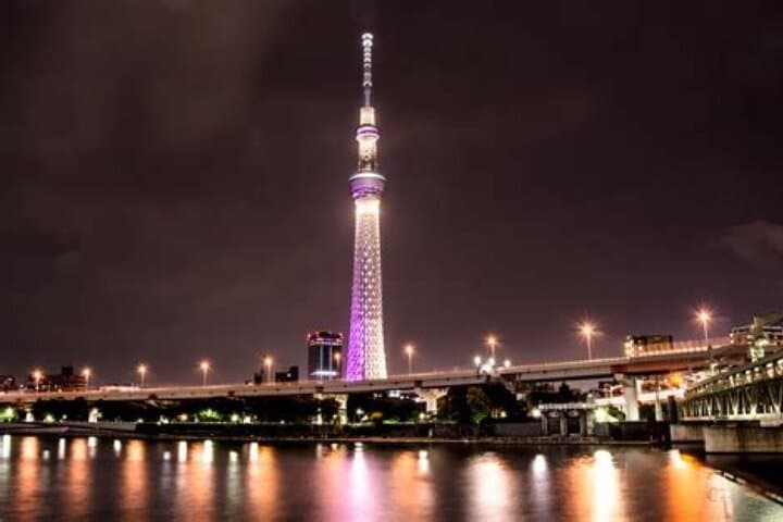 Private Tokyo Tour with English Speaking Driver