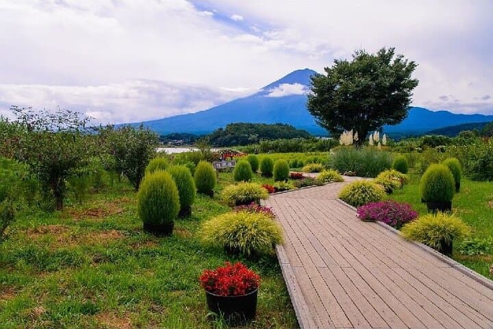 Private Mt Fuji Tour with English Speaking Driver