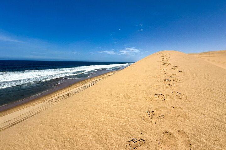 Sandwich Harbour Adventure: Seals and Sandwich harbour dune drive