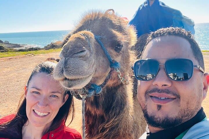 Bestseller TANGIER PRIVATE TOUR: Highlights and Old Town