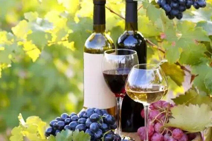 Perfect Italian experience: Cooking class - Wine Tour