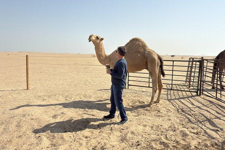 Authentic Kuwait Experience — Culture, Local Food & Local Vibes