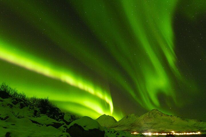 Tromsø: Northern Lights Minibus Tour with Expert Guides