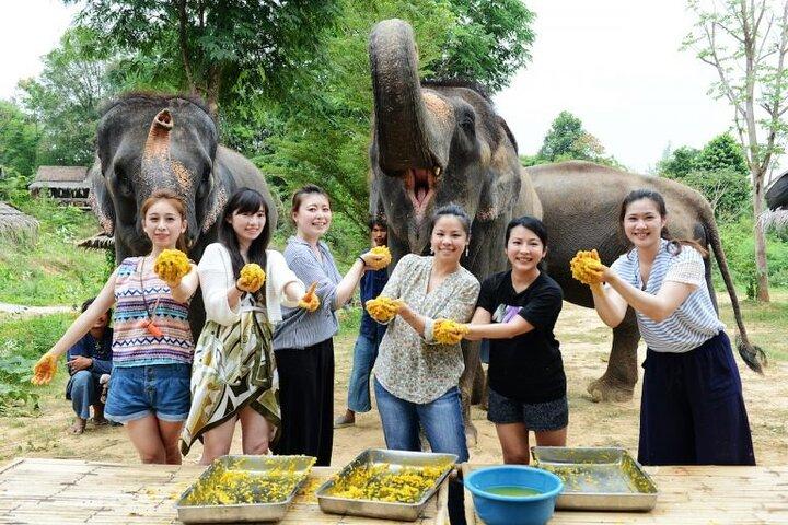 River Kwai & Death Railway Tour with Elephant Experience