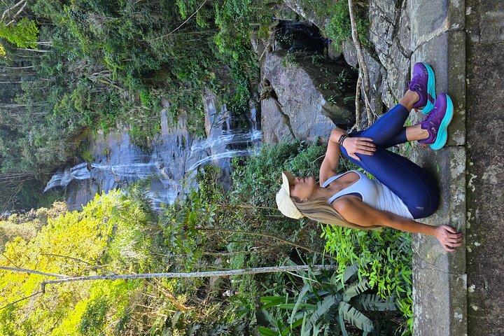Tijuca Forest Hiking tour - Forest & waterfalls
