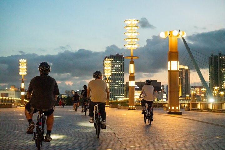 Tokyo Top Highlights 3h Guided E-bike Tour