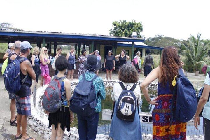 FIJI: Official Sabeto Hotspring and Mudpool Tour