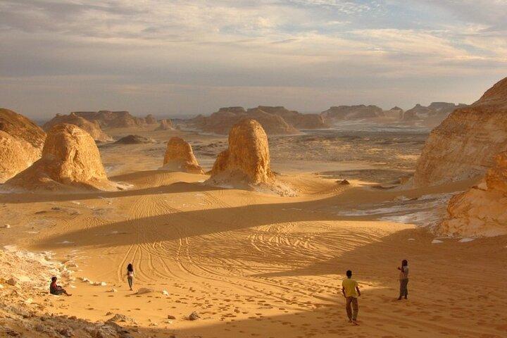 White And Black Desert Safari